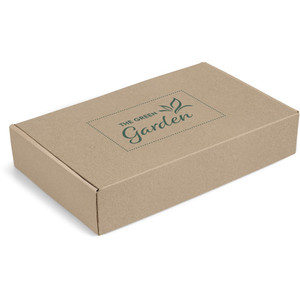 CP-AM-1017-B-02-SALAD
