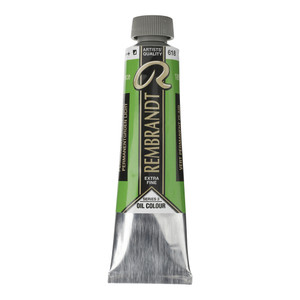 ROYAL TALENS REMBRANDT Oil 40Ml Perm.Green Light-RT01056182 ROYAL TALENS REMBRANDT Oil 40Ml Perm.Green Light-RT01056182