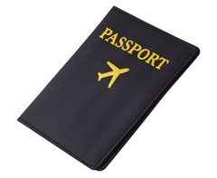 Passport Wallet - GSR - P2637