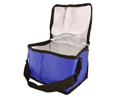 PVC 6-Can Cooler - GSR - P808F