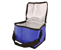 PVC 6-Can Cooler - GSR - P808F