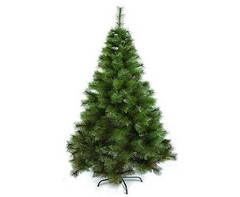 Tall Evergreen Christmas Tree - GSR - P2699