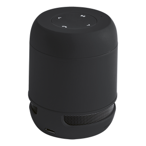 Braiss Bluetooth Speaker