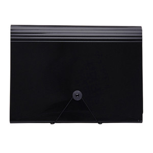 Metallic Expanding File - 12 Division