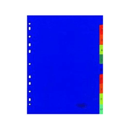 A4 Index 1-12 Printed Assorted A4 Index 1-12 Printed Assorted