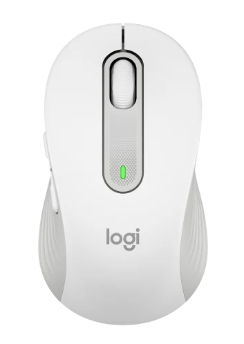 Primary Image