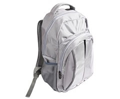 Sector Laptop Backpack - GSR - BAG096S