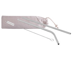 3-Piece SS Straws & Pipe Cleaner - GSR - P2452