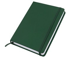 Flexi Notebook - GSR - ST331IA5