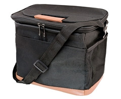 Coolix Lunch Cooler Bag  - GSR - P2853B