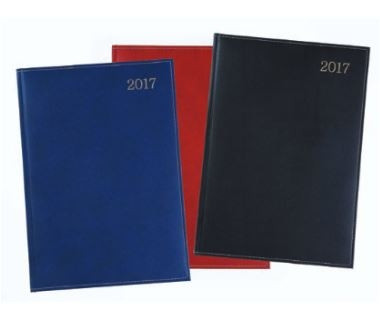 Diary  - A4 Padded Page-A-Day (Black)-SAD432011-02