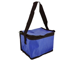 PVC 6-Can Cooler - GSR - P808F