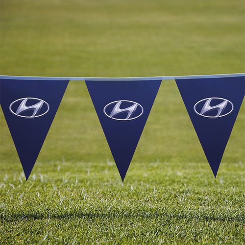 Pennants PVC Digital Single Sided Triangle