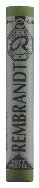 REMBRANDT Pastel Olive Green 8 Soft REMBRANDT Pastel Olive Green 8 Soft