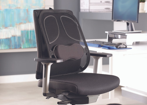 Professional Series Mesh Back Support Professional Series Mesh Back Support