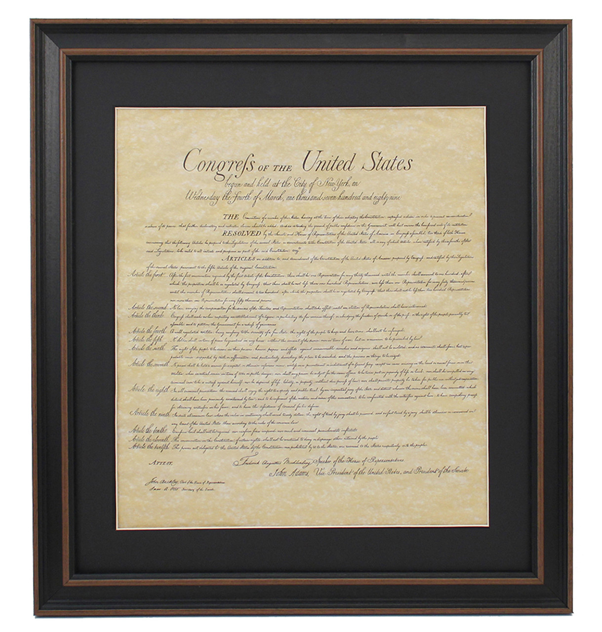 United States Constitution, Bill of Rights, Declaration of Independence:  United for Human Rights