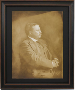 Theodore Roosevelt, Half Length Portrait