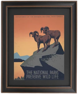 See America - National Parks Preserve Wild Life by Frank S. Nicholson