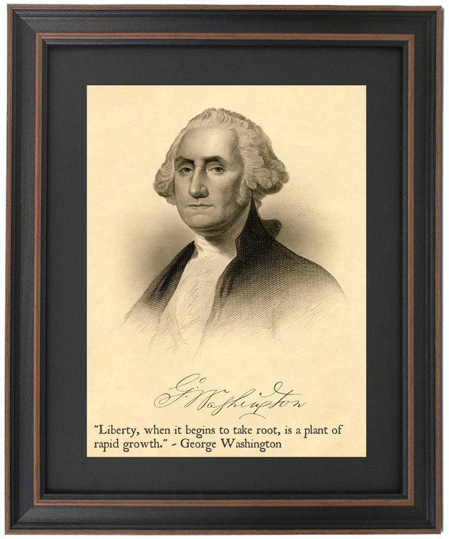 Framed George Washington, Portrait & Quote, "Liberty, when it begins to take root, is a plant of rapid growth."