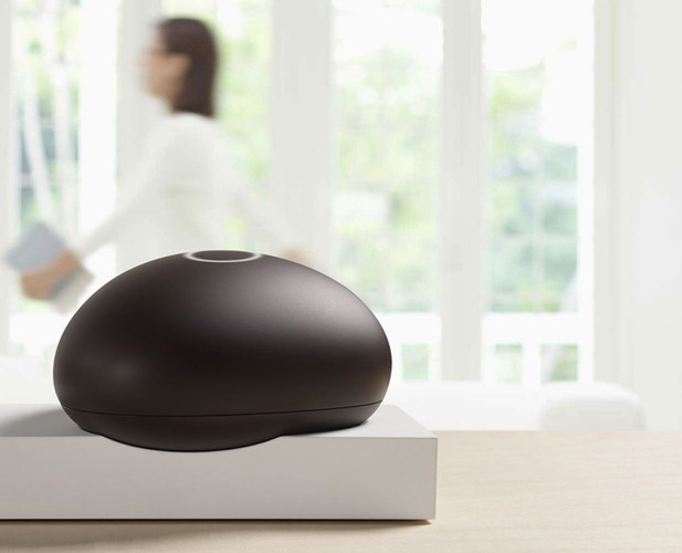 Nasual risus suscipit Lorem vocabulary Nasual risus suscipit Lorem vocabulary