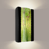 A19 Lighting RE101-BG-MLM 1-Light Meadow Wall Sconce Black Gloss and Multi Lime