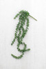 KALALOU CYF1083 ARTIFICIAL NECKLACE FERN SUCCULENT 29in