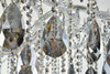 ELEGANT LIGHTING 2803G120C-SS/RC  Maria Theresa 84 light Chrome Chandelier with Silver Shade tear drop crystals Silver Shade (Grey) Royal Cut Crystal