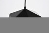 Living District LDPD2079 Arden Collection Pendant D10.2 H6.7 Lt:1 Black and Gold Finish