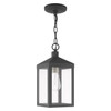 LIVEX LIGHTING 20591-76 1 Light Scandinavian Gray Outdoor Pendant Lantern