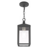 LIVEX LIGHTING 20591-76 1 Light Scandinavian Gray Outdoor Pendant Lantern