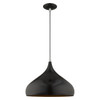 LIVEX LIGHTING 41174-68 1-Light Mini Pendant, Shiny Black