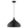 LIVEX LIGHTING 41174-68 1-Light Mini Pendant, Shiny Black