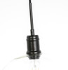 Living District LD6207BK Emett 1 light Black and Clear glass pendant