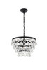 Living District LD5016D17BK Kora 5 light Black Pendant