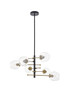 Living District LD5053D32BRB Paragon 6 light Matte Black and Brass Pendant