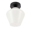 Living District LD2255BK Gene 1 light Black and Frosted white glass Flush mount