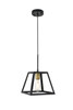 Living District LD4061D10BRB Resolute 1 light brass and black Pendant