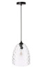 Living District LD2284 Gibson 1 light Black and Clear glass pendant