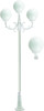 GM2403-LED6-W