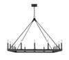 Z-LITE 482S-16MB 16 Light Chandelier,Matte Black