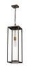 Z-LITE 584CHB-DBZ-OBS 1 Light Outdoor Chain Mount Ceiling Fixture,Deep Bronze + Outdoor Brass