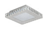 BETHEL INTERNATIONAL FT17 LED Flush Mount,Clear