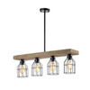 WAREHOUSE OF TIFFANY'S IMP469A/4IWG Lourd 7 in. 4-Light Indoor Black Finish Chandelier with Light Kit