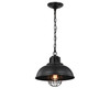 WAREHOUSE OF TIFFANY'S HM163/1 Almonte 13 in. 1-Light Indoor Black Finish Pendant Light with Light Kit