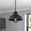 WAREHOUSE OF TIFFANY'S HM163/1 Almonte 13 in. 1-Light Indoor Black Finish Pendant Light with Light Kit