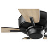 QUORUM INTERNATIONAL 7060-69 Breeze 60" Ceiling Fan, Noir