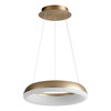 OXYGEN LIGHTING 3-62-40 Roswell 1-Light Pendant Light