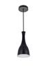 Living District LD2407BK Aiken 1 Light Black Pendant