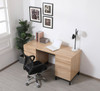 ELEGANT DECOR DF11002MW Emerson industrial double cabinet desk in mango wood