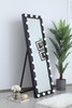 Elegant Decor MRE32471BK Brenda 24 inch by 71 inch plug in LED 5000K mirror in black